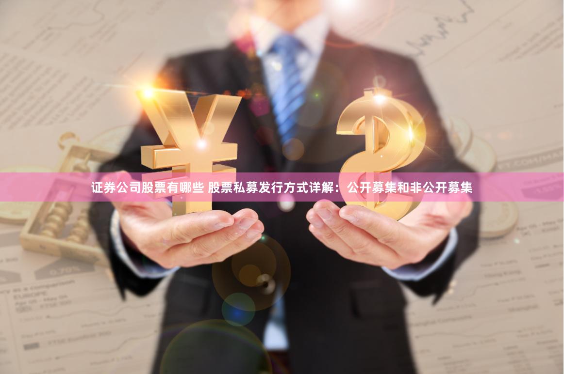 证券公司股票有哪些 股票私募发行方式详解：公开募集和非公开募集