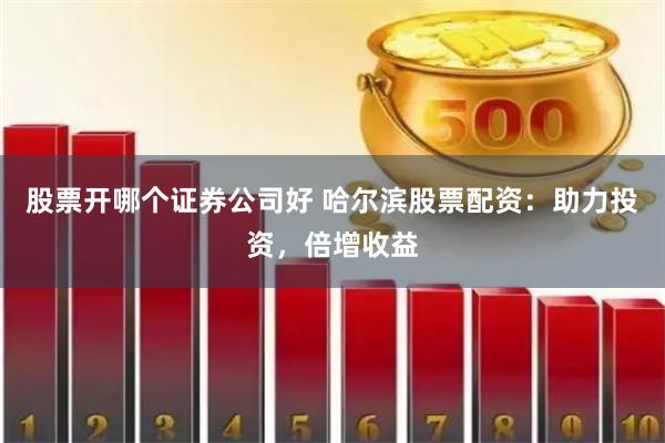 股票开哪个证券公司好 哈尔滨股票配资:助力投资,倍增收益