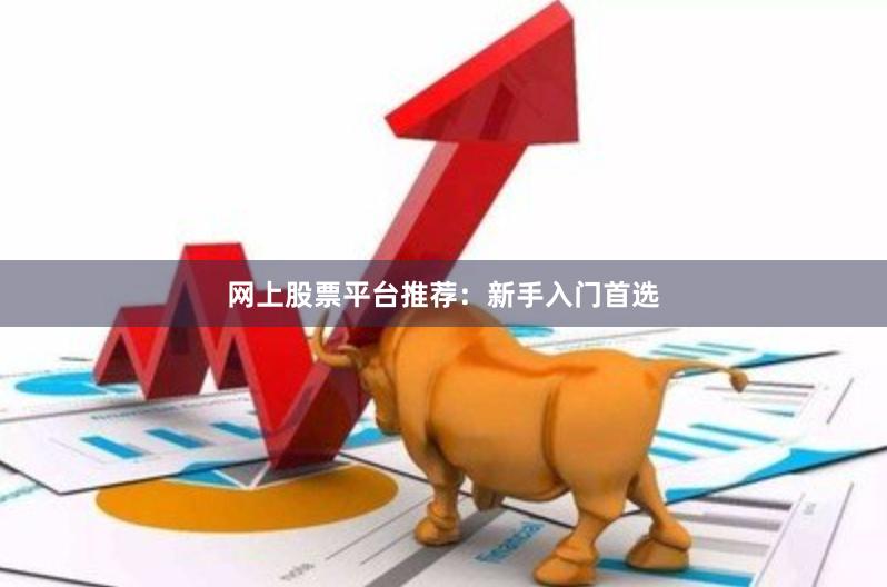 网上股票平台推荐：新手入门首选