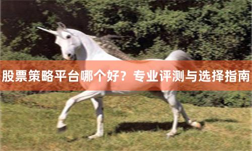 股票策略平台哪个好？专业评测与选择指南
